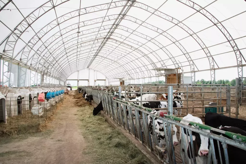 Fabric Building for Livestock Barns