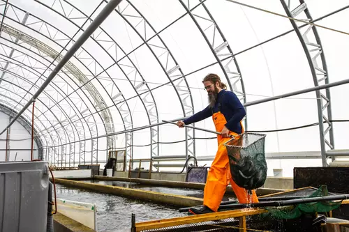 Applications of MegaDome in Fishery and aquaculture buildings