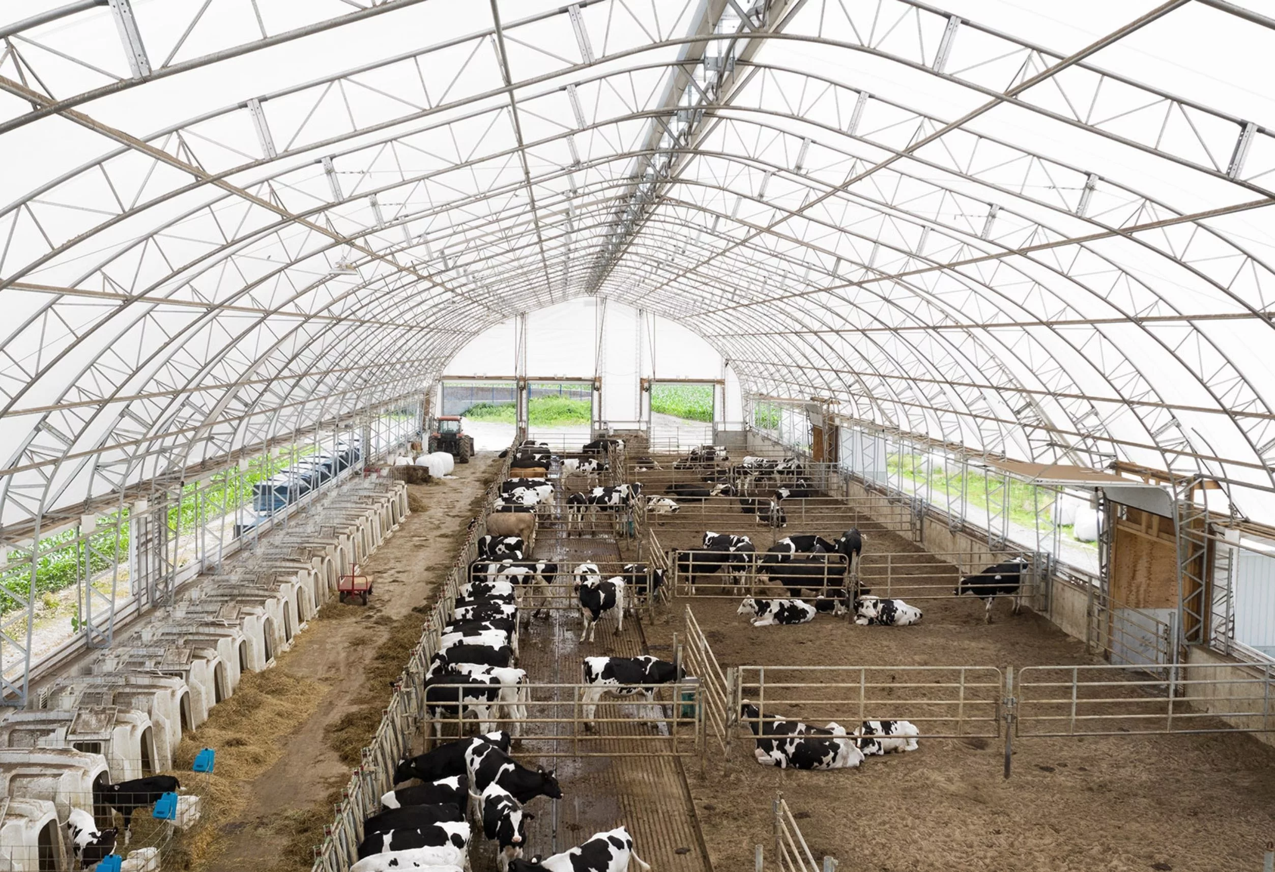 fabric livestock buildings