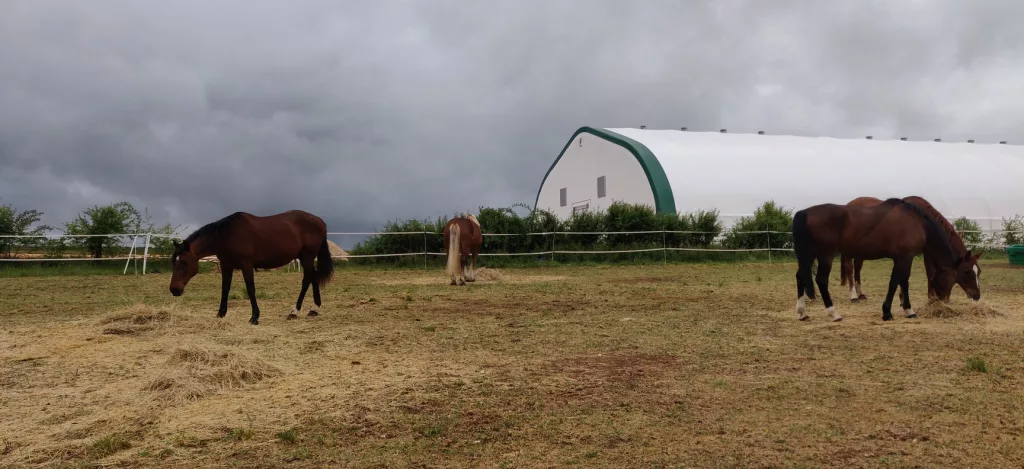 Equestrian Riding Arena